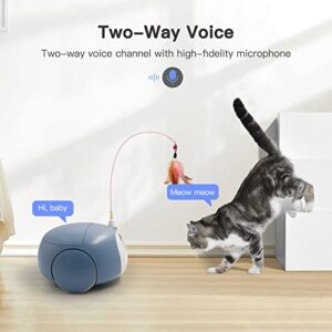 Pet Camera Robot, Cat Dog Treat Dispenser, Pumpkii Home Robot with App Remote Control, 2 Way Audio, 1080P HD Mobile Camera with Night Vision, Interactive Replaceable Cat Teaser