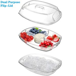 DEAYOU 4 Section Ice Serving Tray, Cold Serving Tray with Flip-Lid for Party Food, Outdoor Serving Platter Dish with Ice Cooling Tray for Appetizers, Fruits, Vegetables, Salads, Picnic, Snack