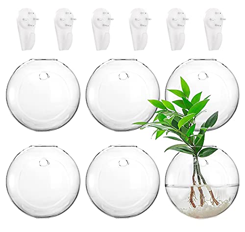 yarlung Set of 6 Wall Hanging Planters Terrarium, Glass Oblate Globe Plants Containers Wall Mount Flower Vase for Propagating Hydroponics Plants, Air Plants (Plants Not Included)