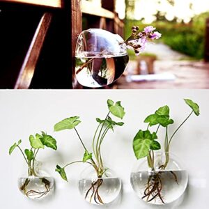 yarlung Set of 6 Wall Hanging Planters Terrarium, Glass Oblate Globe Plants Containers Wall Mount Flower Vase for Propagating Hydroponics Plants, Air Plants (Plants Not Included)