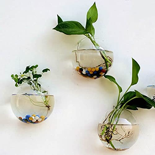 yarlung Set of 6 Wall Hanging Planters Terrarium, Glass Oblate Globe Plants Containers Wall Mount Flower Vase for Propagating Hydroponics Plants, Air Plants (Plants Not Included)