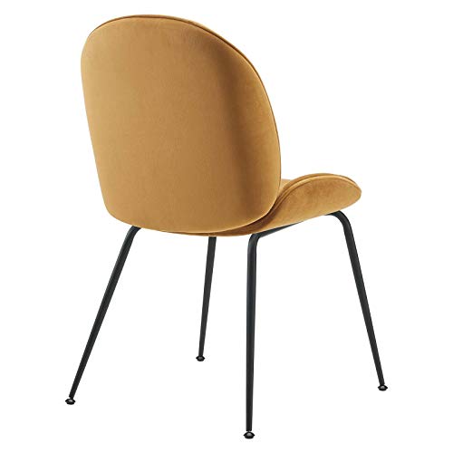 Modway Scoop Performance Velvet Dining Chairs-Set of Two in Cognac with Black Metal Legs