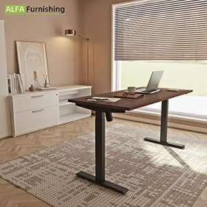 ALFA FURNISHING Height Adjustable Desk, 48” x 30” inches Whole Piece Desk Board, 2 Pre-Set Memory Button Electric Sit Stand Desk Standing Desk for Home Office Workstation