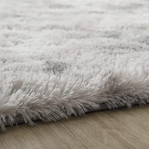 Ultra Soft Fluffy Area Rugs for Bedroom 4x6, Shaggy Bedroom Carpet, Plush Living Room Shag Furry Floor Rugs, Non-Slip Tie-Dyed Floor Carpet