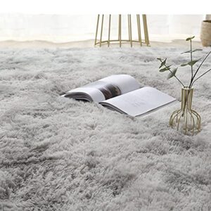 Ultra Soft Fluffy Area Rugs for Bedroom 4x6, Shaggy Bedroom Carpet, Plush Living Room Shag Furry Floor Rugs, Non-Slip Tie-Dyed Floor Carpet