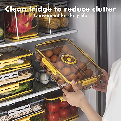 Egg box Fridge Storage Containers, Premium Refrigerator Organizer Bins with Lids Date and Time Display Stackable Freezer Organizers Fresh Lettuce Keeper Drawer Basket for Food Fruit Vegetables