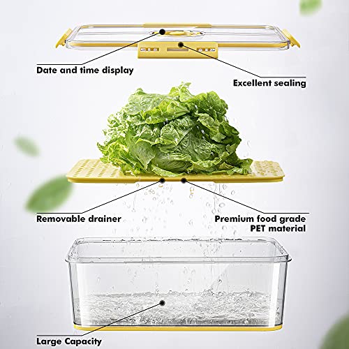 Egg box Fridge Storage Containers, Premium Refrigerator Organizer Bins with Lids Date and Time Display Stackable Freezer Organizers Fresh Lettuce Keeper Drawer Basket for Food Fruit Vegetables