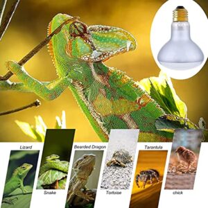 Qixivcom 2-Packs 50W Reptile Heat Lamp Basking Bulb E26/E27 110V UVA Basking Spot Daylight Heat Lamp Glass Heating Lamp Reptile Heater for Bearded Dargon Turtle Aquarium Aquatic Lizard Chicken Coop