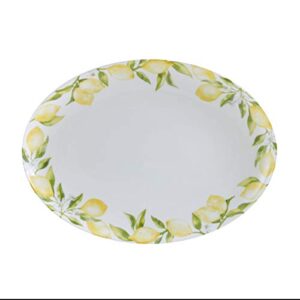 mikasa lemons oval serving platter, 14-inch, multicolor