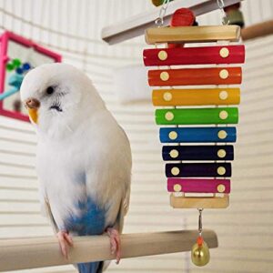 dujiaoshou wooden bird toys，toys educational training creative block discolored intelligence toys for parrot parakeet (b toys)