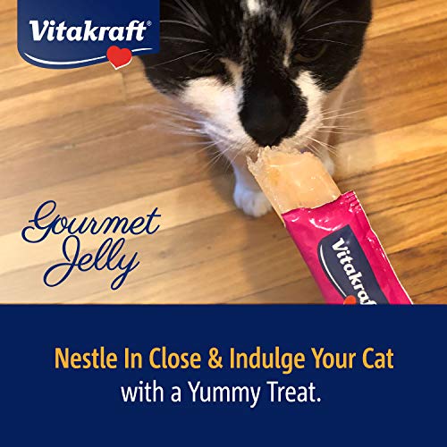 Vitakraft Gourmet Jelly Squeezable Cat Treats - Chicken and Carrot - Tasty Gelatin Cat Snack - Great for Hand Feeding - Multi Pack of 4