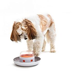 The UFO Interactive Push Button Food Treat Dispenser Bowl for Dogs & Cats for Fun Slow Feeding