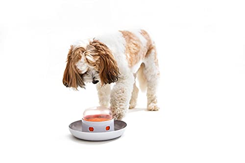 The UFO Interactive Push Button Food Treat Dispenser Bowl for Dogs & Cats for Fun Slow Feeding