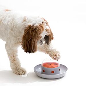 The UFO Interactive Push Button Food Treat Dispenser Bowl for Dogs & Cats for Fun Slow Feeding