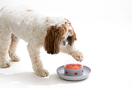 The UFO Interactive Push Button Food Treat Dispenser Bowl for Dogs & Cats for Fun Slow Feeding