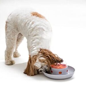 The UFO Interactive Push Button Food Treat Dispenser Bowl for Dogs & Cats for Fun Slow Feeding