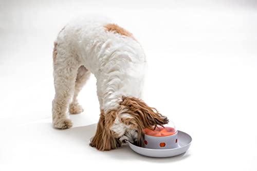 The UFO Interactive Push Button Food Treat Dispenser Bowl for Dogs & Cats for Fun Slow Feeding