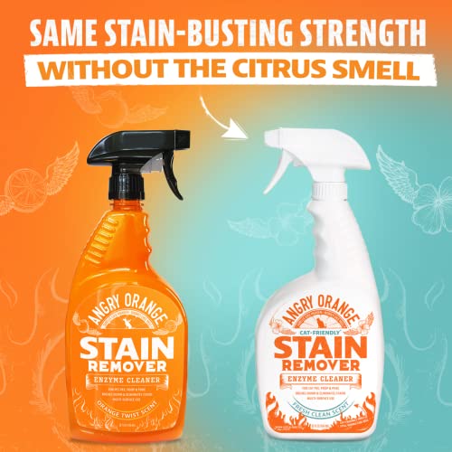 ANGRY ORANGE Pet Carpet Cleaner - 2 Pack - Dog, Ferret, Rabbit & Cat Urine Enzyme Cleaner - Pet Odor Eliminator for Home - Strong Enzymatic Stain Remover for Pee on Rug, Tile, Hardwood Floor