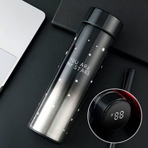 Smart Water Bottle with LED Temperature Display,Tea Infuser Bottle,Travel Coffee Mug,17oz/500ml Insulated Water Bottle,Flask for hot and cold drinks