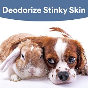 SkinSmart Antimicrobial Skin and Wound Care for Pets, Removes Bacteria to Promote Healing and Relieves Itch, 8 Ounce Spray Bottle