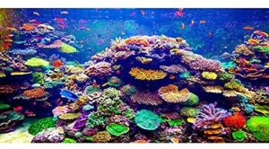 awert undersea theme aquarium background 36x18 inches polyester background colorful coral tropical fish underwater world fish tank background