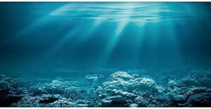 awert 72x24 inches undersea theme aquarium background sunshine underwater world fish tank background polyester background