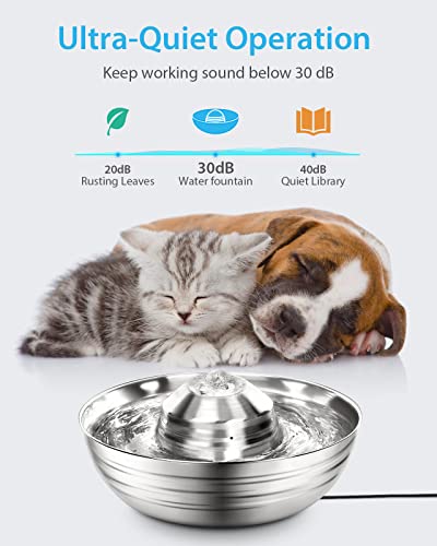 Huicocy Cat Water Fountain Stainless Steel, 67Oz/2L Pet Fountain with Ultra-Quiet Design, Visible Water Level, 360° Automatic Cat Water Dispenser Easy Assemble and Clean,Supply Water Even Power Off