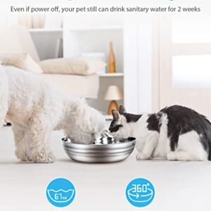 Huicocy Cat Water Fountain Stainless Steel, 67Oz/2L Pet Fountain with Ultra-Quiet Design, Visible Water Level, 360° Automatic Cat Water Dispenser Easy Assemble and Clean,Supply Water Even Power Off