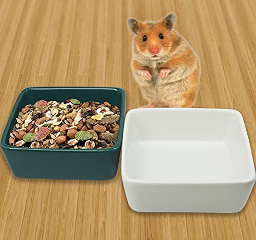 KUAO 2-Piece Set Hamster Feeding Bowl Square Ceramic White and Green Small Animal Dishes Food and Water Bowl with a Bamboo Shelf for Hamsters Guinea Pig Gerbil Hedgehog Rabbit and Little Cat