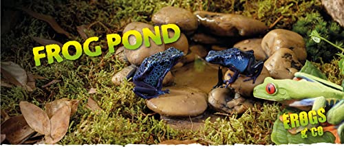 Exo Terra Frog Pond, Amphibian Terrarium Water Source, Large