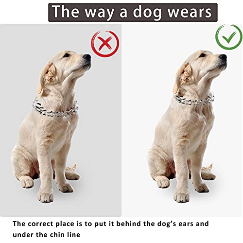 Dog Prong Collar,Choke Collar for Dogs Pinch Training Collar,Detachable Adjustable Choke Collar with Comfort Rubber Tips, Metal Adjustable Large Middle Dog Pet Pinch Collar