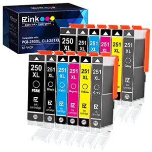 e-z ink (tm) compatible ink cartridges replacement for canon 250 251 pgi-250xl cli-251xl to use with pixma mg6320 mg7120 mg7520 ip8720 (12 pack, 2 pgbk, 2 cyan, 2 magenta, 2 yellow, 2 black, 2 gray)