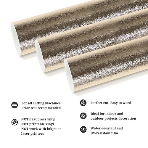 TECKWRAP Metallic Textured Chrome Vinyl Adhesive Vinyl for Craft Cutter 1ft x 5ft, Champagne Gold