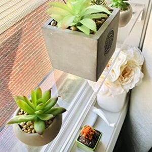 Elegant and Sophisticated Floating Window Shelf (21", Single Shelf) - Crystal Clear Recessed Durable Strong Acrylic Trinket, Plants, Succulents Indoor Collection Display Stand Trendy Modern Boho Chic