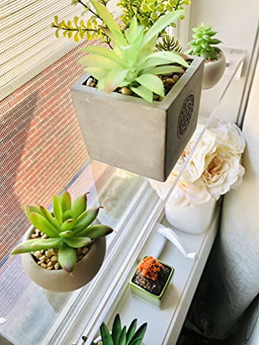 Elegant and Sophisticated Floating Window Shelf (21", Single Shelf) - Crystal Clear Recessed Durable Strong Acrylic Trinket, Plants, Succulents Indoor Collection Display Stand Trendy Modern Boho Chic