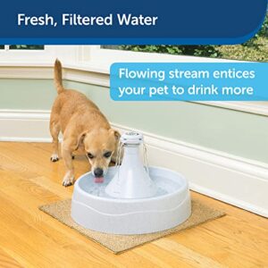 PetSafe Drinkwell 360 Multi Pet Drinking Fountain - Customizable Automatic Water Dispenser for Cats and Dogs - 128 oz Fresh, Filtered Water Capacity for Healthy Pets - Filter Included