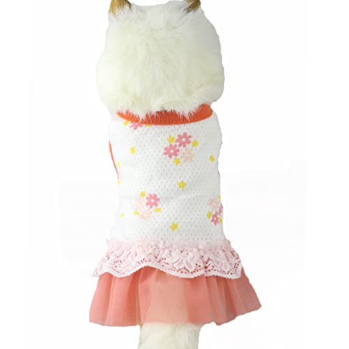 ANIAC XXS Dog Skirt with Flower Pattern Cat Princess Dress Rabbit Outfits Puppy Lace Tutu Skirt Yorkie Spring Summer Clothes for Kitten Kitty Chihuahua Ferret and Small Breeds (XS, Red)