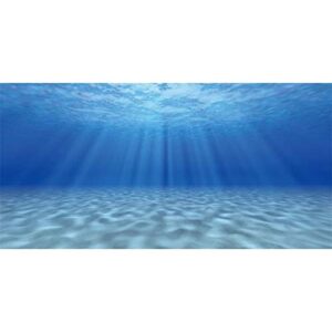 awert 24x16 inches undersea theme ocean floor aquarium background fish tank background polyester background