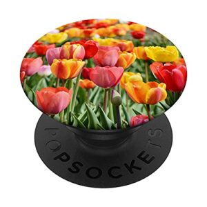 tulip flowers popsockets popgrip: swappable grip for phones & tablets