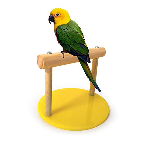 Parrot Training Stand Perch, Plastic Base Parrot Chewing Biting Toy Parrot Perch Training Stands Playstand for Concures Parakeets Lovebirds Cockatiels