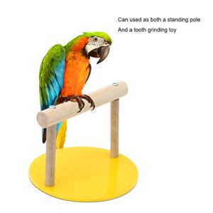 Parrot Training Stand Perch, Plastic Base Parrot Chewing Biting Toy Parrot Perch Training Stands Playstand for Concures Parakeets Lovebirds Cockatiels