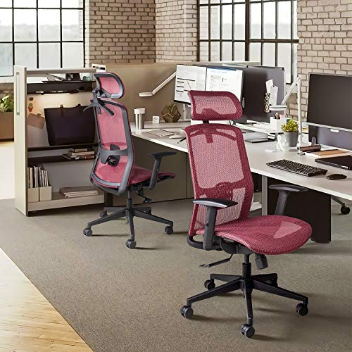 Furmax Ergonomic Office Chair Executive Chair with Mesh Seat High Back Computer Desk Chair with Adjustable Headrest Lumbar Support Armrest Rolling Task Chair with Clothes Hanger (Red)