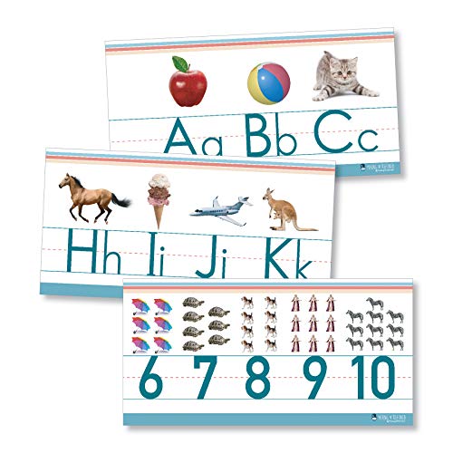 Alphabet and numbers line for clssroom wall for teaching ABCs Young N Refined (White Glossy Paper)