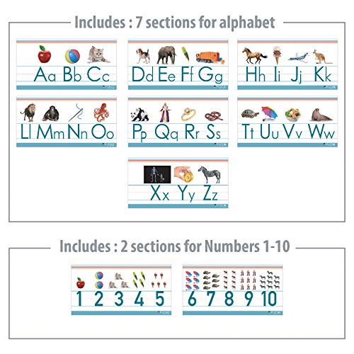 Alphabet and numbers line for clssroom wall for teaching ABCs Young N Refined (White Glossy Paper)