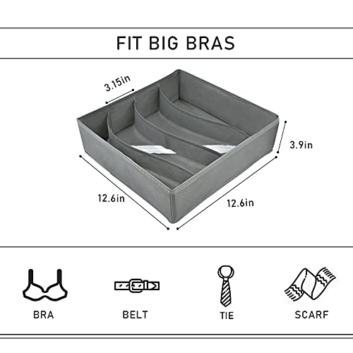 2 Pack Bra Storage Organizers for Dresser Drawers, Fabric Foldable underwear Storage, Washable Lingerie Organizers, Grey¡­