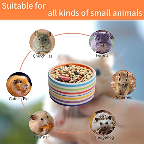 Tfwadmx Hamster Food Bowl Ceramic Water Bowl Small Animal Feeding Bowl Food Dish for Guinea Pig Rodent Gerbil Syrian Hedgehog 2 PCS