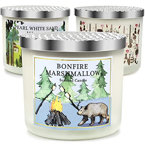 3 Pack Candles Gifts for Women, 13.4Oz Large 3 Wick Scented Candle, Candles for Home Scented, Aromatherapy Gift Set for Birthday, Natural Soy Wax with Essential Oils for Stress Relief