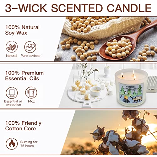 3 Pack Candles Gifts for Women, 13.4Oz Large 3 Wick Scented Candle, Candles for Home Scented, Aromatherapy Gift Set for Birthday, Natural Soy Wax with Essential Oils for Stress Relief