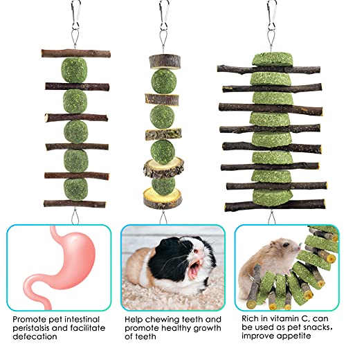 ERKOON 3PCS Bunny Chew Toys, Rabbit Chew Toys for Teeth Grinding, Improve Dental Health, 100% Natural Apple Wood Timothy Grass Cake Treats for Rabbits Guinea Pigs Chinchillas Bunnies Hamsters