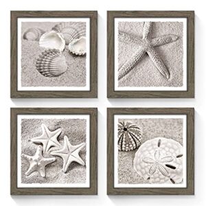 framed beach gallery wall art: starfish seashell conch collection pictures prints set of 4 wall decor for bedroom (multi-style)